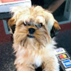 Meet your Posher, Valmir